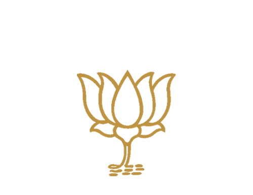 The Bharatiya Janata Party (and the Rashtriya Swayamsevak Sangh)
