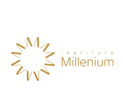 The Millennium Institute