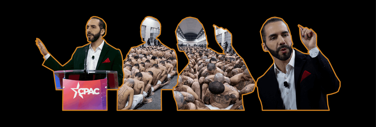 order without law 01