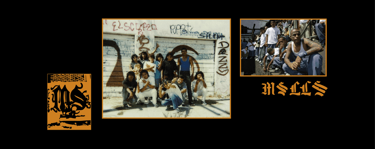 order without law 05