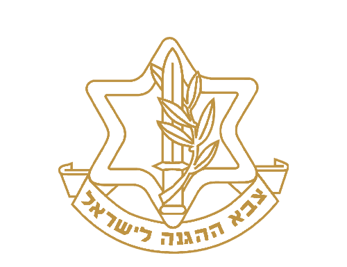 Israel Defense Forces